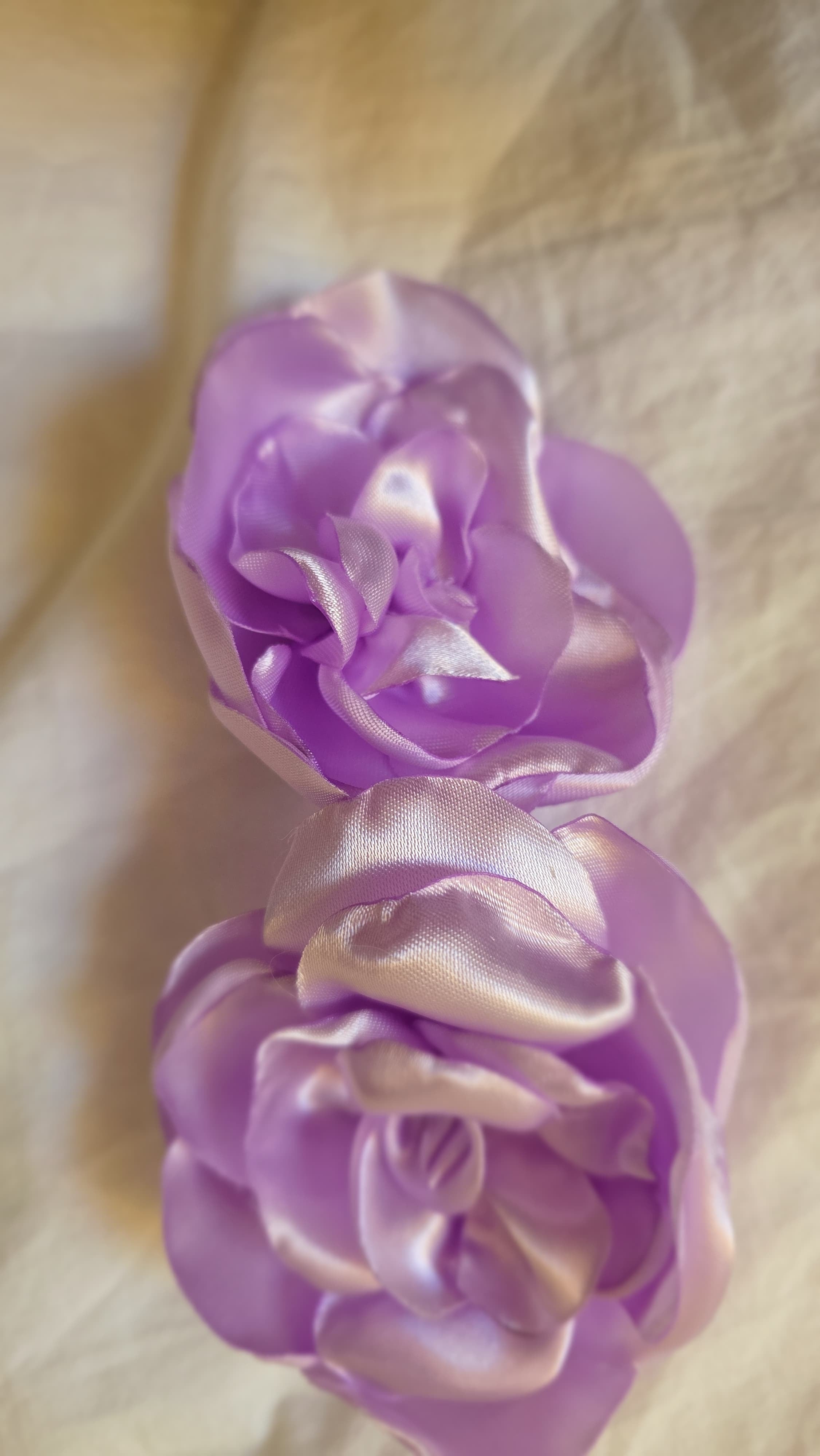 Purple Spring