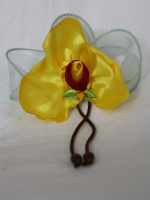 Sun Orchid